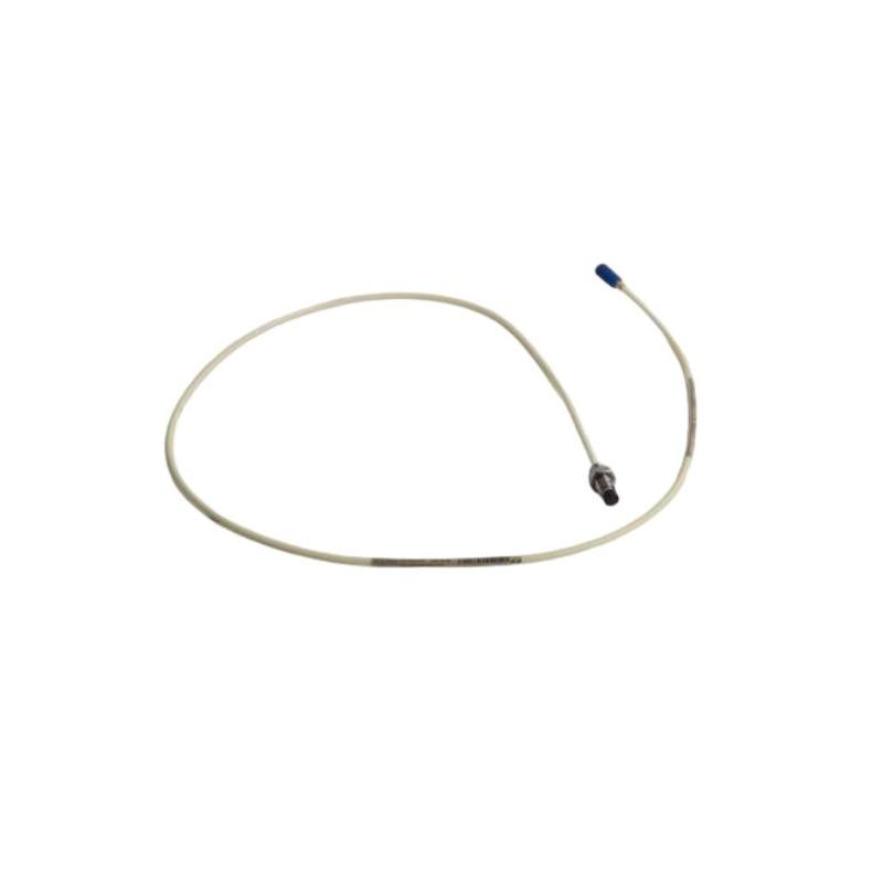 Bently Nevada 21504-000-012-10-02 | Proximity Probe 12-Month Warranty