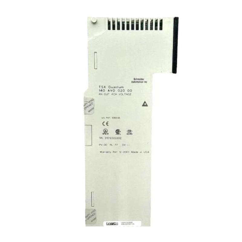 Schneider 140AVO02000C Analog Output Module