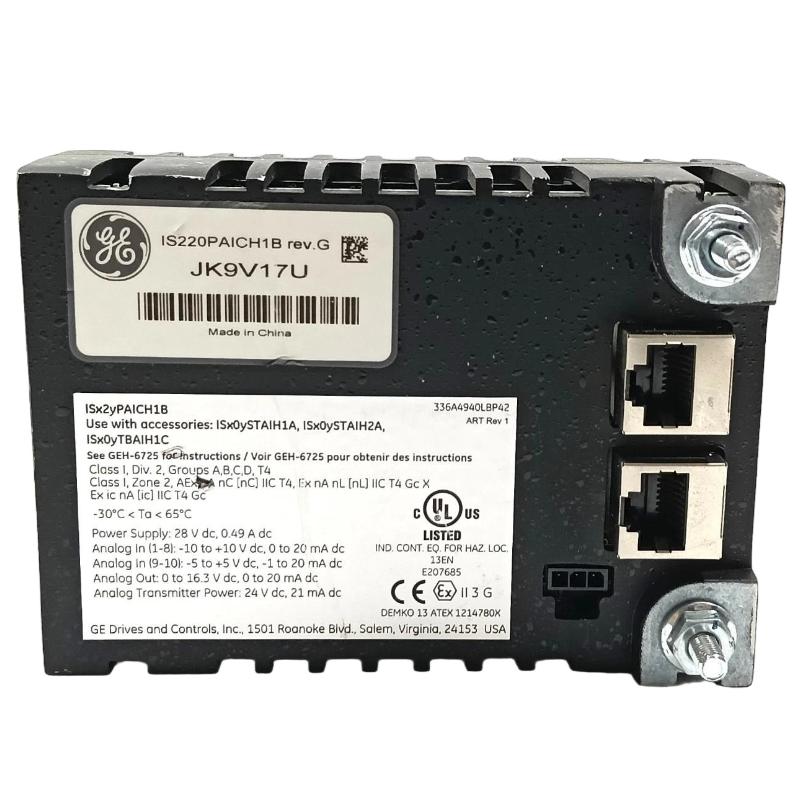 GE IS220PAICH1B Analog Input/Output Module