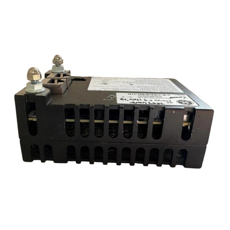 GE IS220PPROS1B Protecting I/O Modules