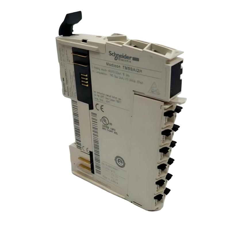 Schneider TM5SAI2H Analog Input Module