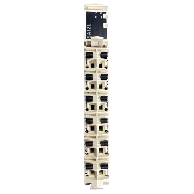 Schneider TM5SAI2L Analog Input Module