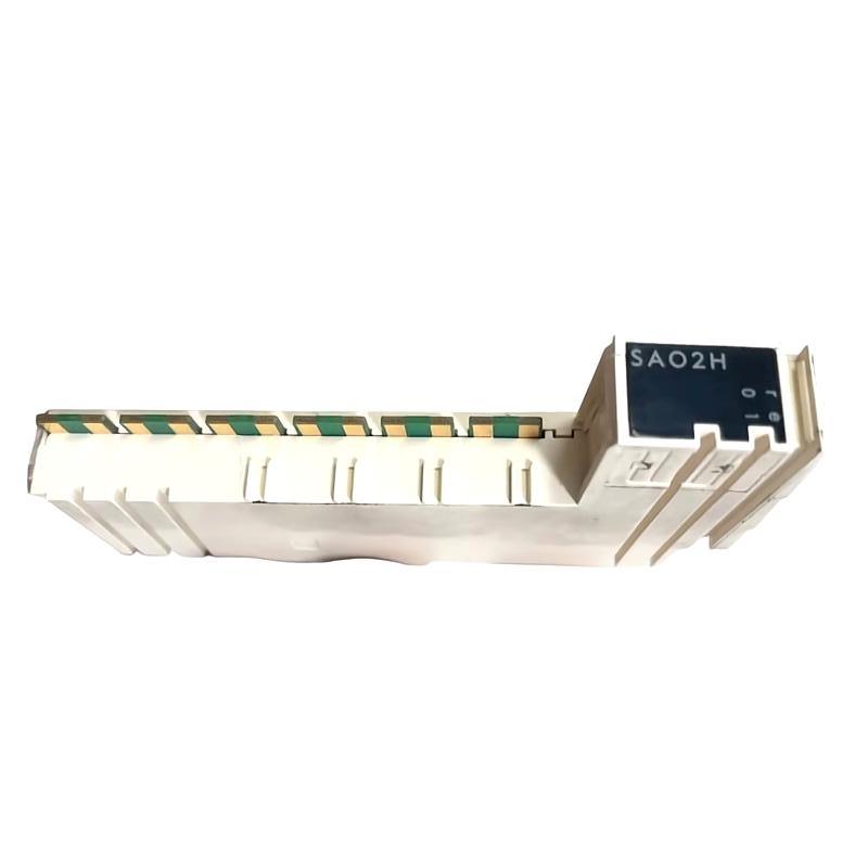 Schneider TM5SAO2H Analog Output Module