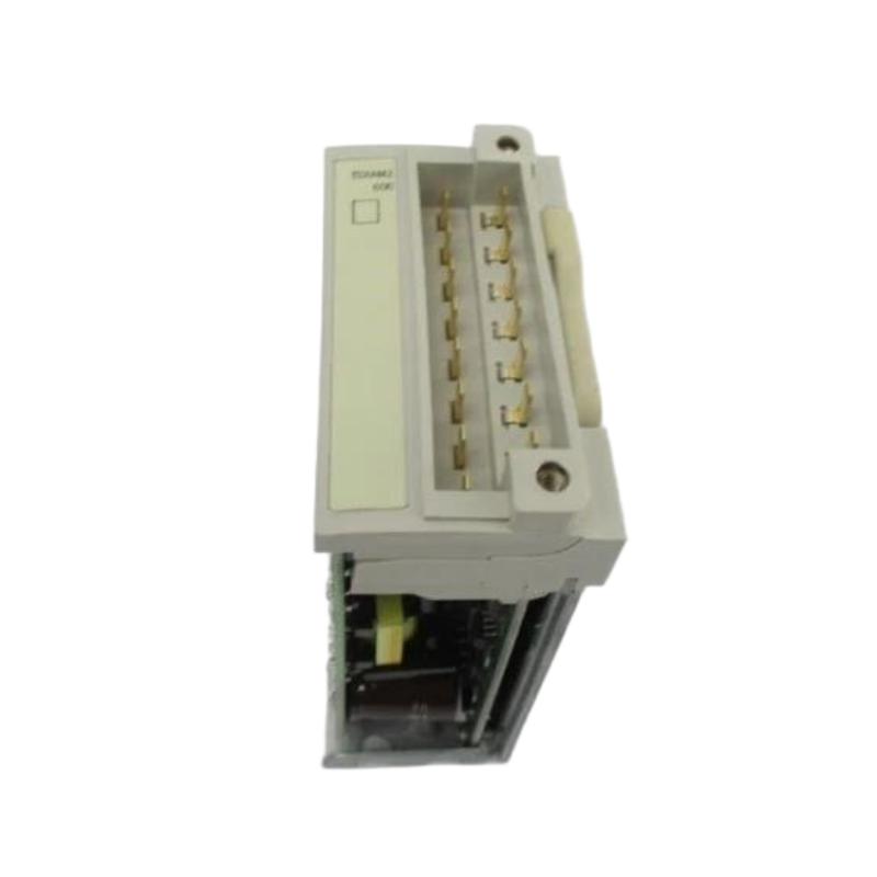 Schneider TSXAMZ600 Analog 4 Inputs / 2 Outputs