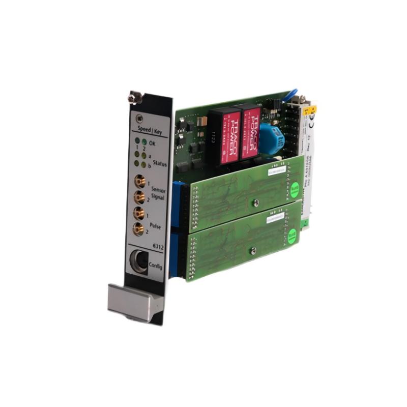 Emerson A6312/06 Speed ​​And Critical Monitors