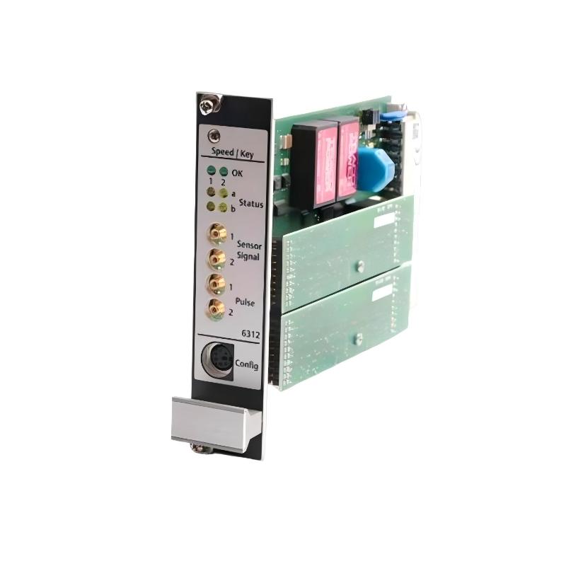 Emerson A6312/06 Speed ​​And Critical Monitors