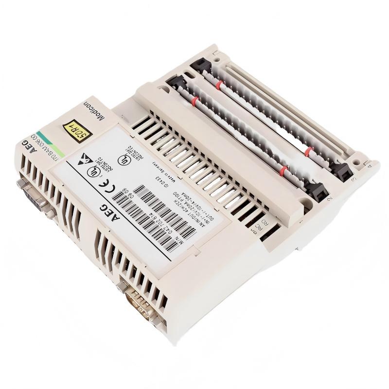Schneider 170BAM09600 Analog I/O Module