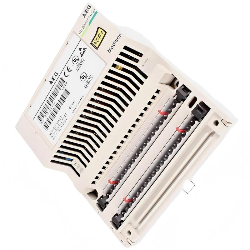 Schneider 170BAM09600 Analog I/O Module