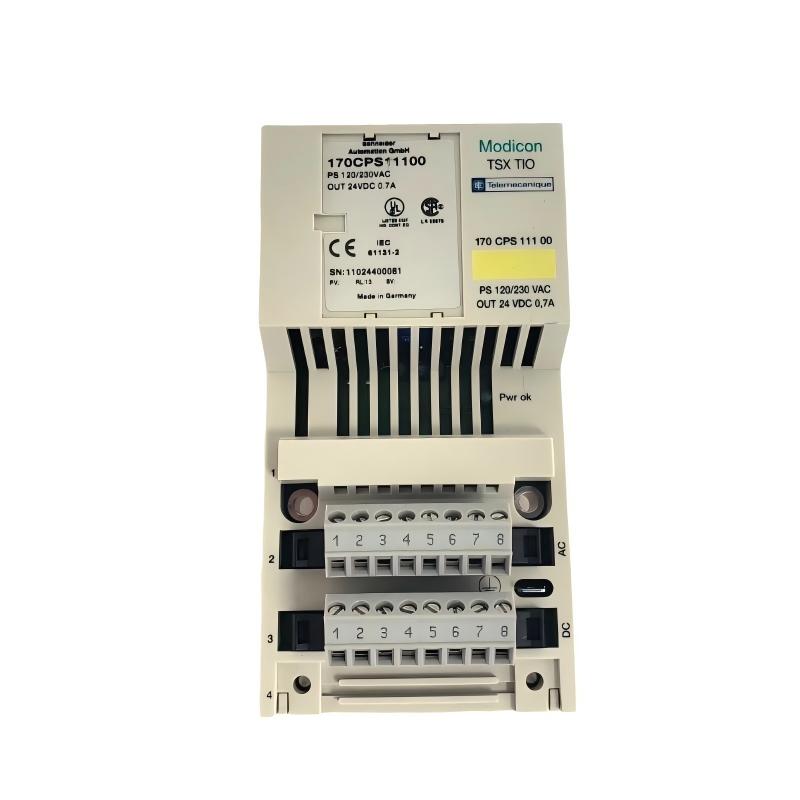 Schneider 170CPS11100 M1 Processor Adapter Power Supply
