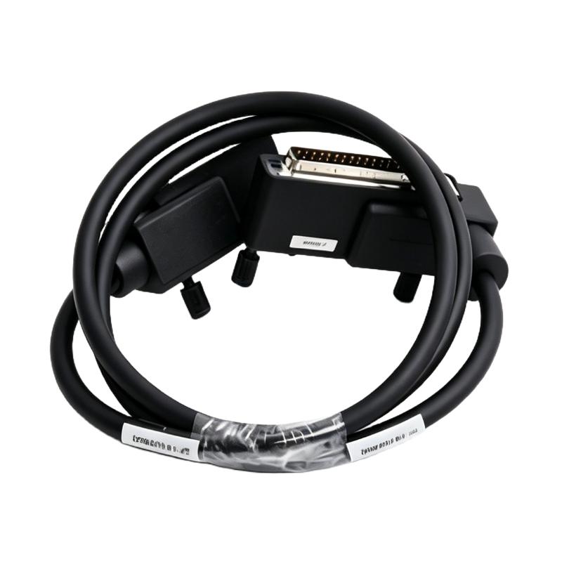 Foxboro RH916DG Terminal Cable