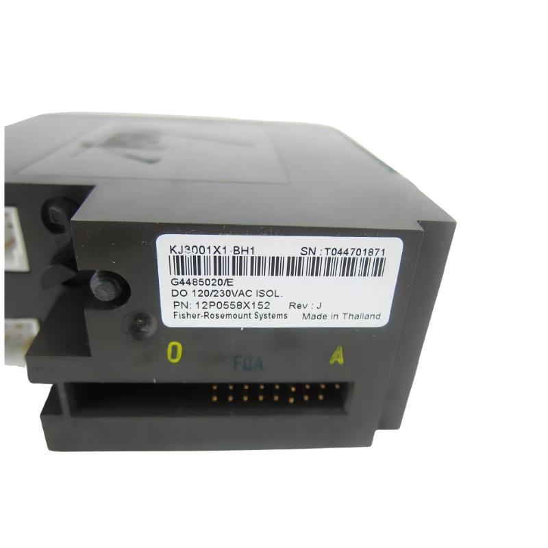 Emerson KJ3001X1-BH1+KJ3001X1-BK1 Input/Output Module